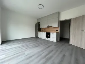 Pronájem bytu 2+kk, Milovice, Kaštanová, 49 m2