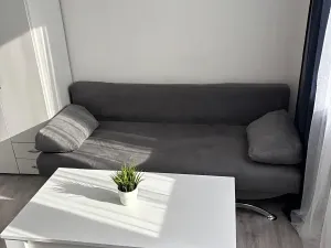 Prodej bytu 1+kk, Chodov, Jiráskova, 19 m2
