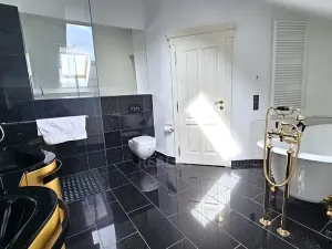 Prodej atypického bytu, České Budějovice, B. Smetany, 255 m2
