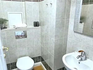 Prodej atypického bytu, České Budějovice, B. Smetany, 255 m2