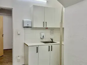 Pronájem skladu, Plzeň, Zikmunda Wintra, 520 m2