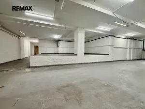 Pronájem skladu, Plzeň, Zikmunda Wintra, 520 m2