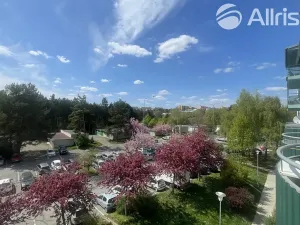Prodej bytu 3+1, Brno, Černého, 72 m2