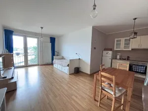Pronájem bytu 1+kk, Praha - Nusle, V Horkách, 43 m2