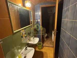Pronájem restaurace, Plzeň, Lindauerova, 124 m2