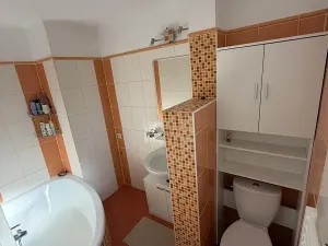 Pronájem bytu 2+1, Plzeň, Schwarzova, 63 m2