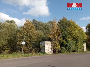 Prodej pozemku pro bydlení, Adršpach - Dolní Adršpach, 9122 m2