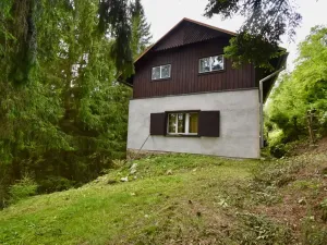 Prodej chaty, Číhošť, 75 m2