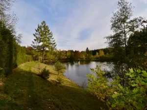 Prodej chaty, Číhošť, 75 m2