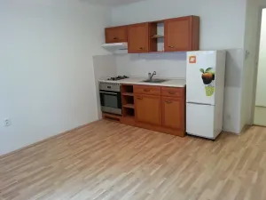 Pronájem bytu 1+kk, Praha - Žižkov, U kněžské louky, 35 m2