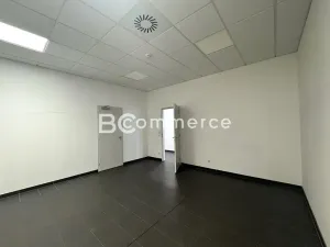 Pronájem kanceláře, Brno, Letiště Brno-Tuřany, 600 m2