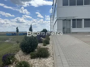 Pronájem kanceláře, Brno, Letiště Brno-Tuřany, 600 m2