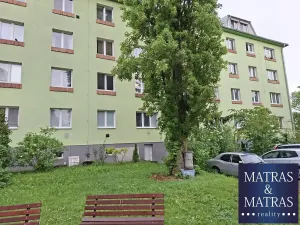 Prodej bytu 2+kk, Brno, Renneská třída, 67 m2