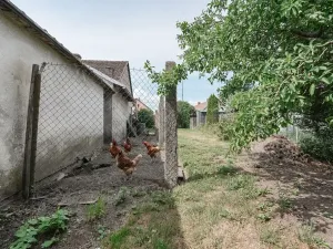 Prodej rodinného domu, Břehy, Bahníkova, 110 m2
