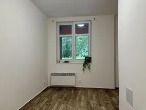 Pronájem bytu 2+kk, Plzeň, Mánesova, 43 m2