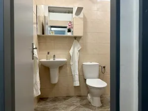 Pronájem bytu 2+kk, Plzeň, Mánesova, 43 m2