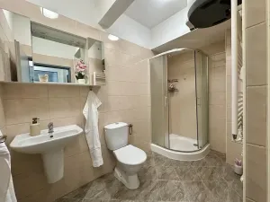 Pronájem bytu 2+kk, Plzeň, Mánesova, 43 m2