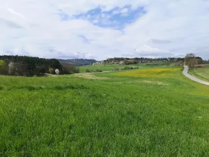 Prodej komerčního pozemku, Radomyšl, 10000 m2
