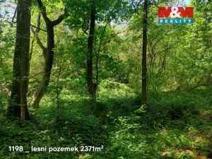 Prodej pole, Pňov-Předhradí - Pňov, 142115 m2