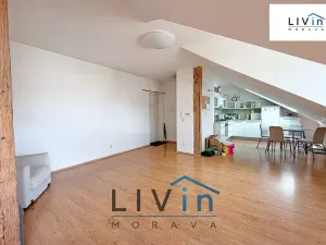 Pronájem bytu 1+kk, Olomouc, Krakovská, 80 m2