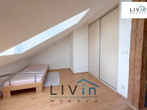 Pronájem bytu 1+kk, Olomouc, Krakovská, 80 m2