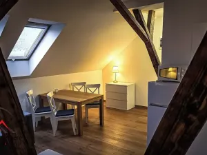 Pronájem bytu 1+kk, Ostrava, Cihelní, 38 m2