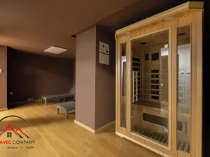 Pronájem bytu 1+kk, Ostrava, Cihelní, 38 m2