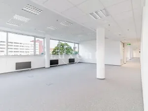 Pronájem kanceláře, Praha - Holešovice, Jankovcova, 478 m2