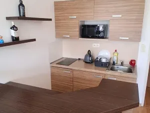 Pronájem bytu 1+kk, Olomouc, Kavaleristů, 36 m2