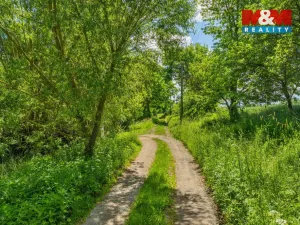 Prodej zemědělské usedlosti, Neustupov - Jiřetice, 200 m2