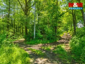 Prodej zemědělské usedlosti, Neustupov - Jiřetice, 200 m2