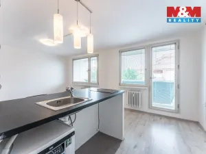 Prodej bytu 1+kk, Praha - Žižkov, Za žižkovskou vozovnou, 43 m2
