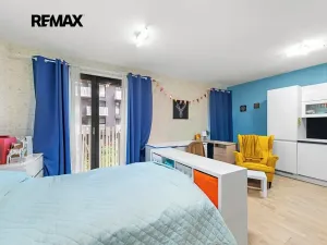 Prodej bytu 1+kk, Praha - Žižkov, Olšanská, 34 m2