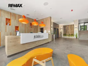 Prodej bytu 1+kk, Praha - Žižkov, Olšanská, 34 m2