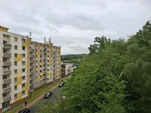 Prodej bytu 1+1, Cheb, Dvořákova, 35 m2