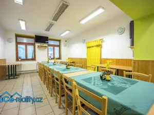 Prodej komerční nemovitosti, Slatina nad Zdobnicí, 572 m2