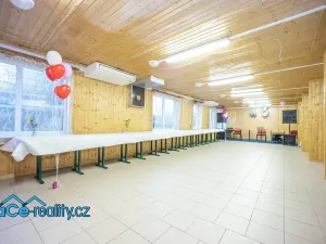 Prodej komerční nemovitosti, Slatina nad Zdobnicí, 572 m2
