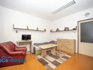 Prodej komerční nemovitosti, Slatina nad Zdobnicí, 572 m2