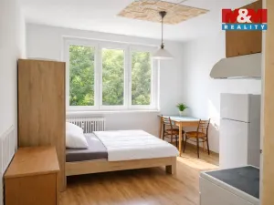 Pronájem bytu 1+kk, Jirkov, Studentská, 20 m2
