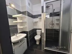 Pronájem bytu 3+kk, Litvínov, Tržní, 78 m2