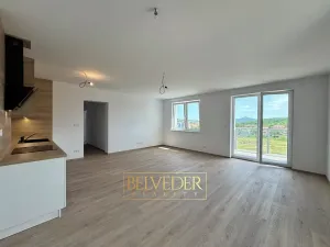 Pronájem bytu 2+kk, Teplice, Albrechtova, 70 m2