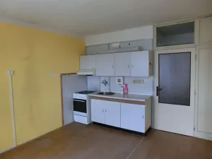 Prodej bytu 1+1, Ostrov, Jungmannova, 36 m2