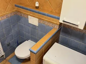 Pronájem rodinného domu, Načeradec, Zámecké náměstí, 170 m2