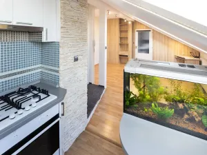 Pronájem bytu 2+kk, Opava, Mánesova, 48 m2