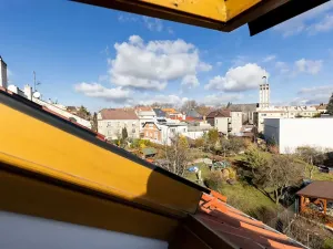 Pronájem bytu 2+kk, Opava, Mánesova, 48 m2