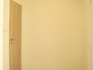 Pronájem bytu 1+kk, Praha - Karlín, Sokolovská, 37 m2