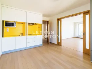 Pronájem bytu 5+kk, Praha - Smíchov, U Dívčích hradů, 202 m2