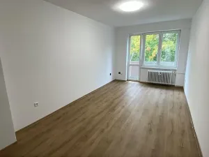 Prodej bytu 2+1, Lovosice, Wolkerova, 54 m2
