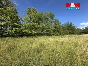 Prodej zahrady, Bechlín - Předonín, 625 m2