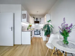 Pronájem bytu 2+kk, Zruč nad Sázavou, Na Pohoří, 43 m2